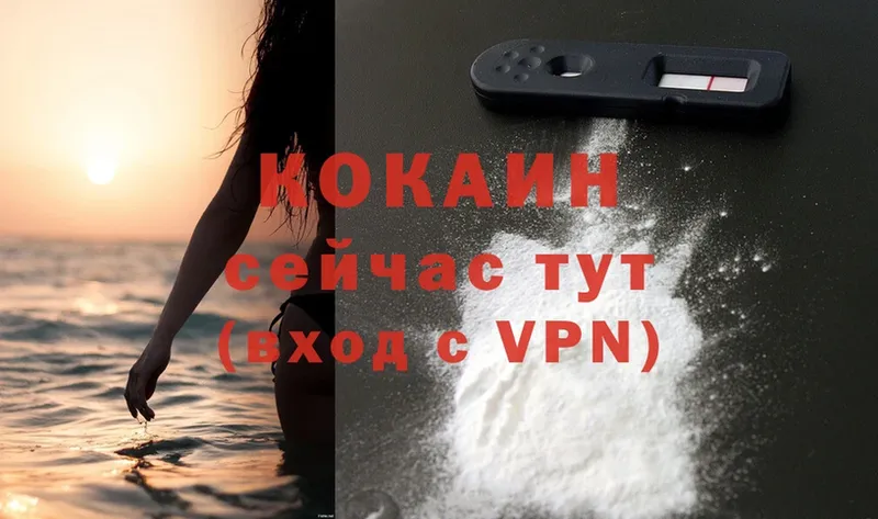 где можно купить   Ярцево  COCAIN VHQ 